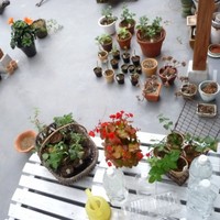090709-03-01.jpg