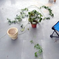 090713-02-01.jpg