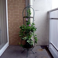 090716-05-01.jpg